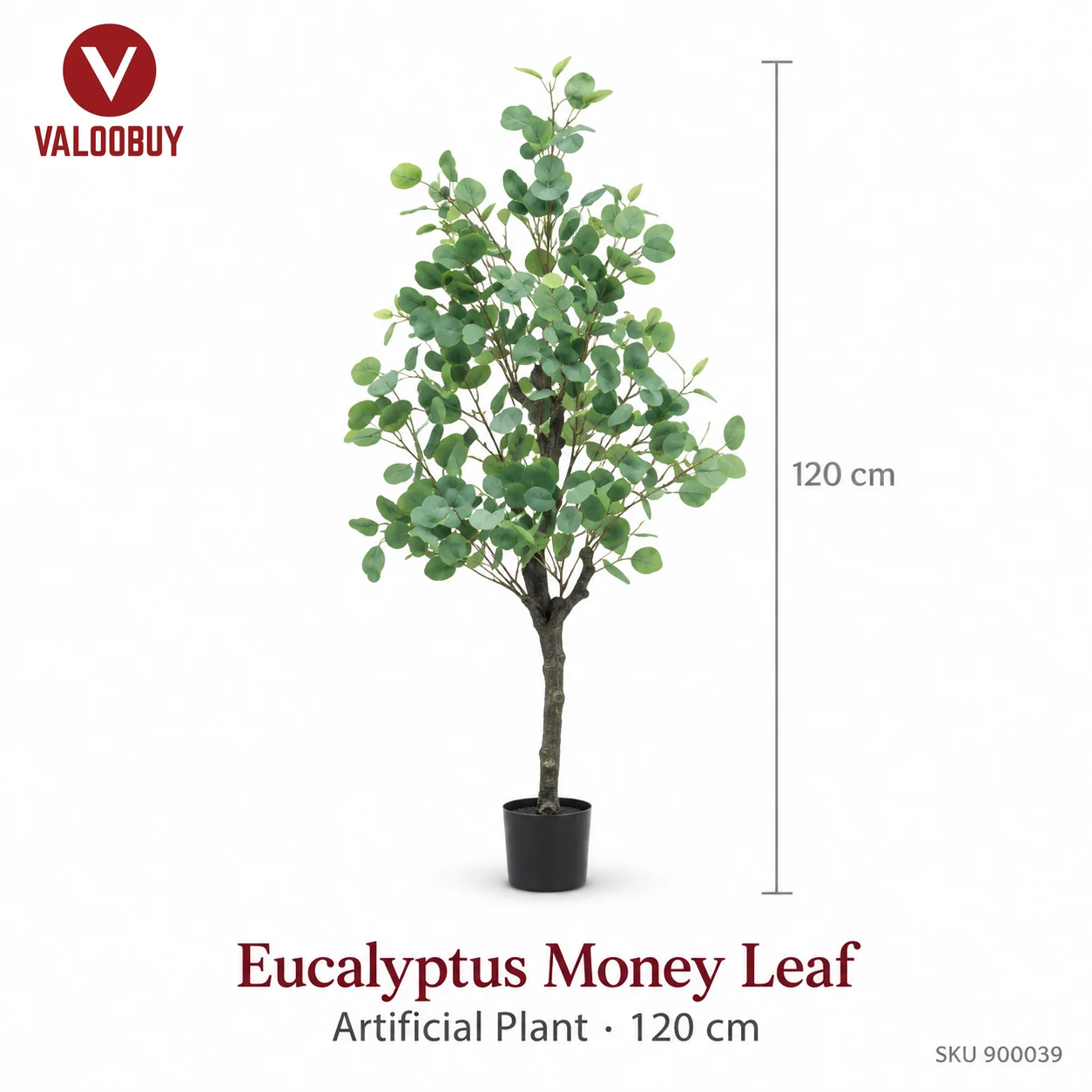 Eucalyptus Tree Branch 1.2m
