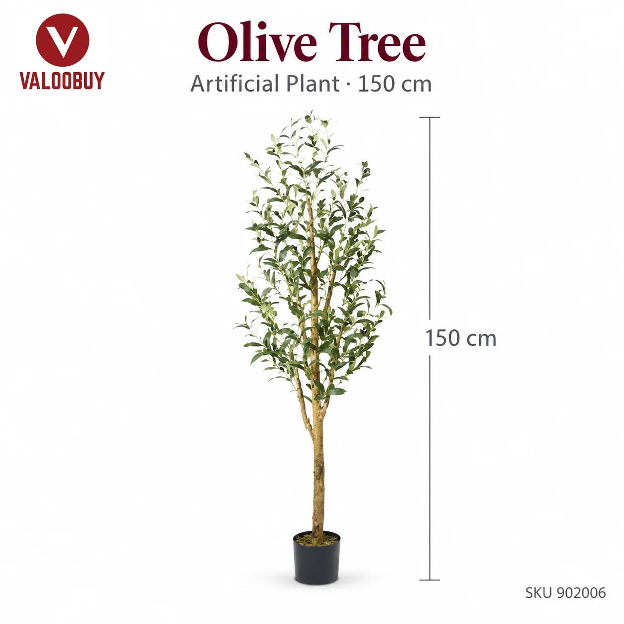 Olive tree potted home decoration