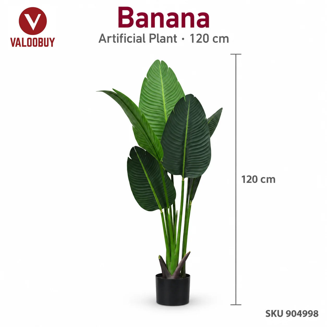 Pokok Viral Banana Pokok Pisang Tiruan